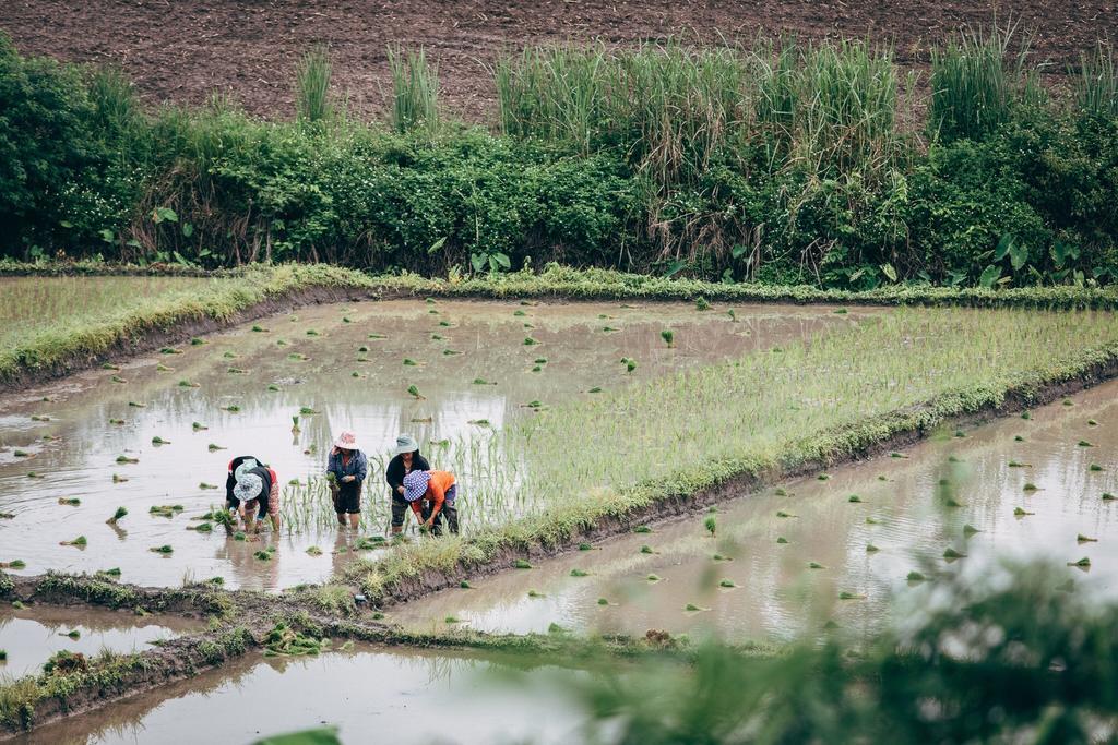 Phoomtada Homestay Wiang Pa Pao Bagian luar foto