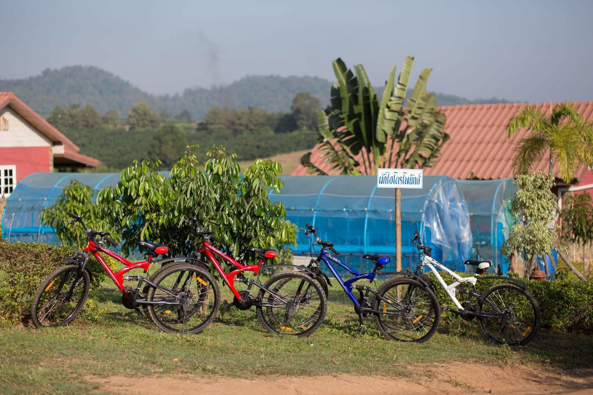 Phoomtada Homestay Wiang Pa Pao Bagian luar foto